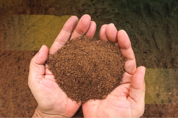 About Us Palm Oil MealUS$44.11/kilogram