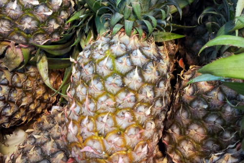 About Us Pineapple