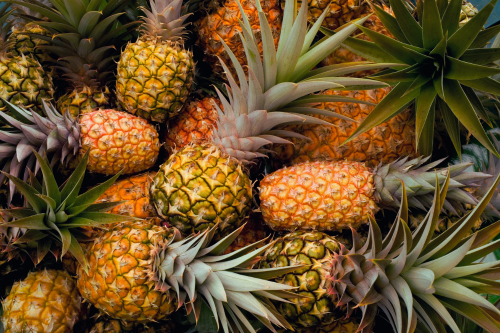 Home Pineapple